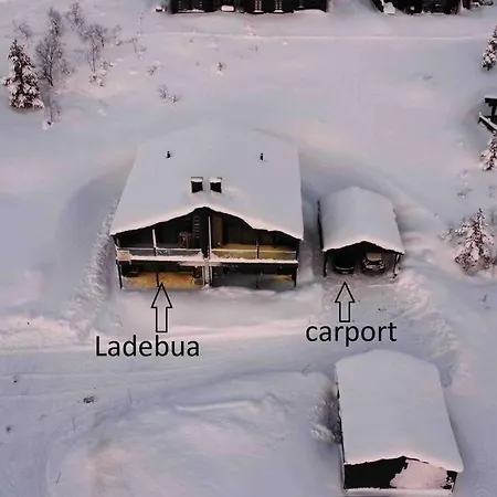 Ladebua *