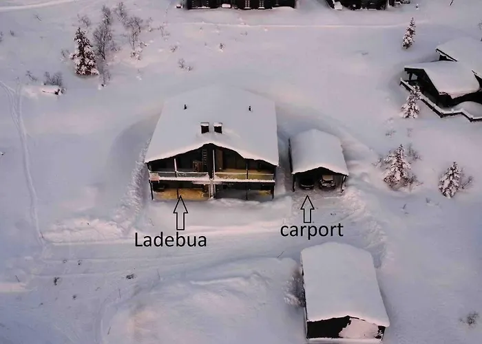Ladebua *